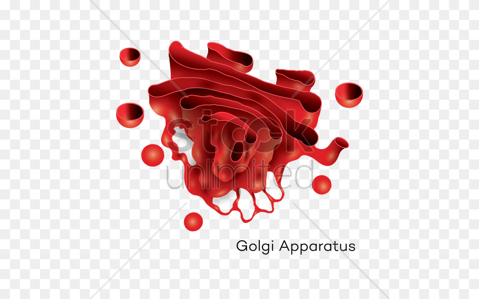 Golgi Apparatus Golgi Apparatus, Art, Dynamite, Graphics, Weapon Free Png