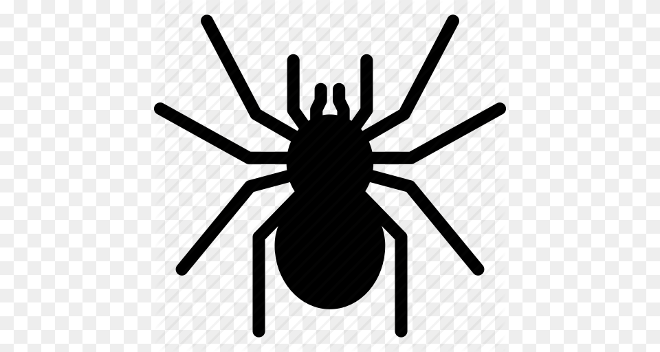 Goliath Spider Tarantula Icon, Animal, Invertebrate, Black Widow, Insect Png Image