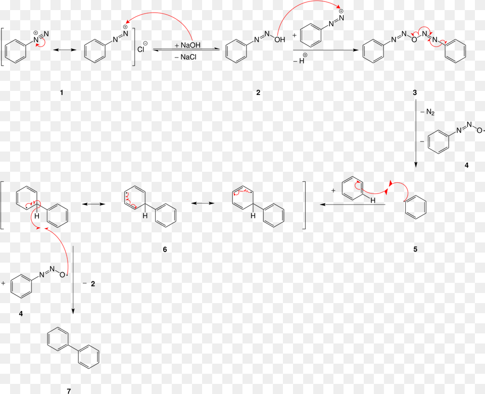 Gomberg Bachmann Reaction Mechn Gomberg Bachmann Reaction Mechanism Png