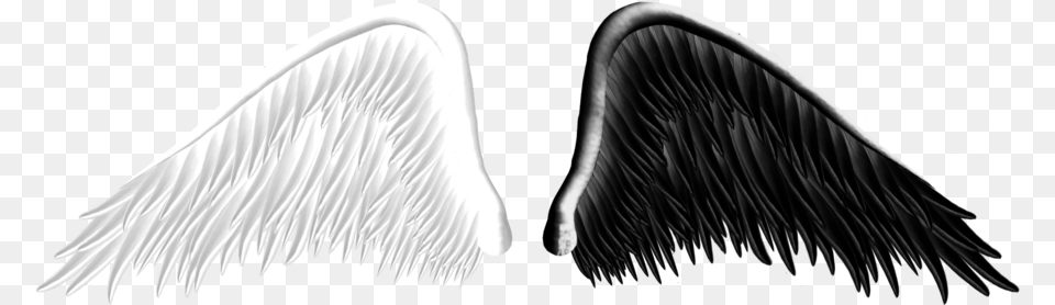 Good And Evil Angel Wings 05 By Thy Darkest Hour Good And Evil Angel Wings, Animal, Bird, Waterfowl, Art Free Png Download