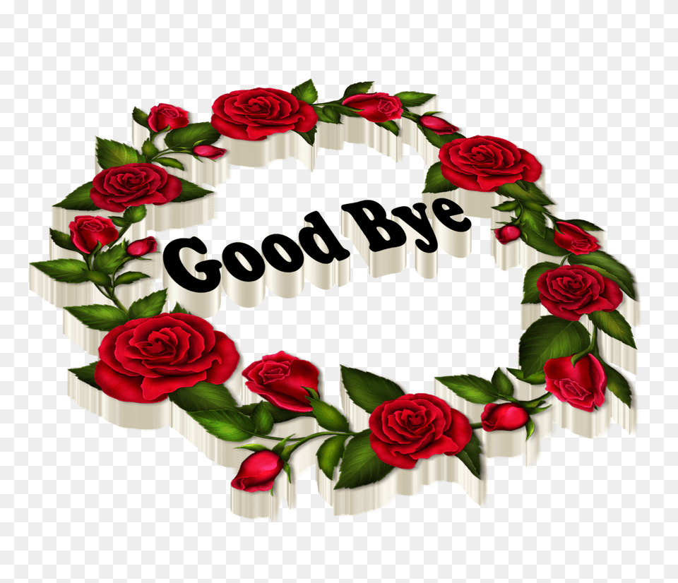 Good Bye Transparent Images, Flower, Plant, Rose, Art Png