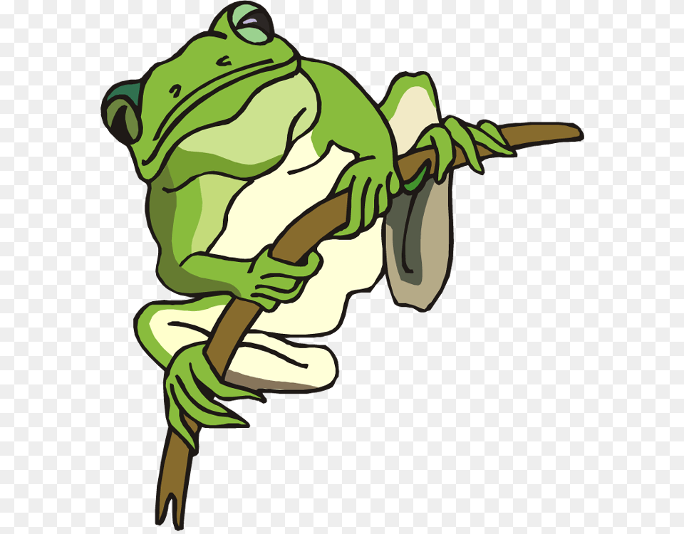 Good Frog Cliparts, Amphibian, Animal, Wildlife, Baby Png Image