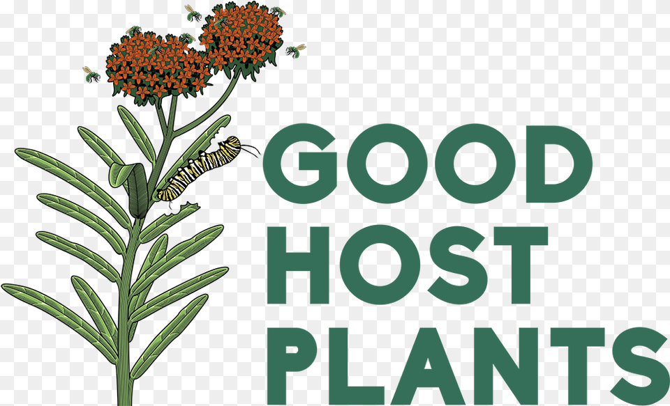 Good Host Plants South 14th At Barrow, Plant, Flower, Animal, Bee Free Png
