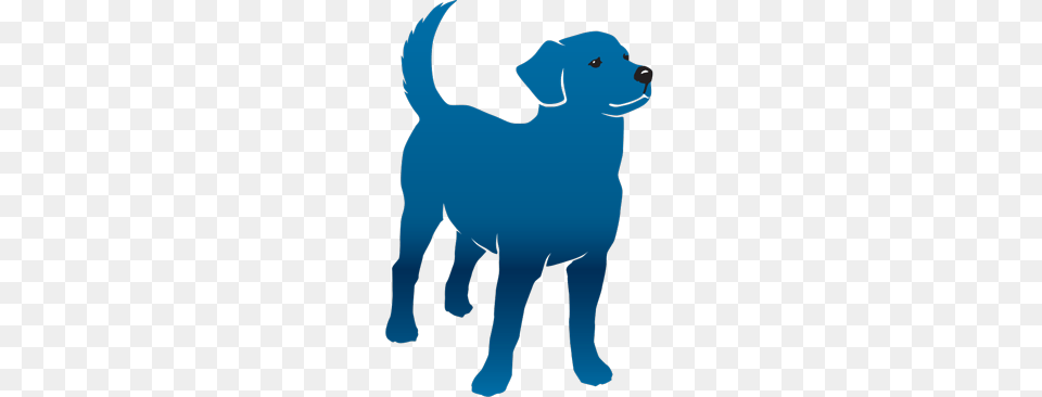 Good Mojo Dog Center, Animal, Canine, Labrador Retriever, Mammal Png