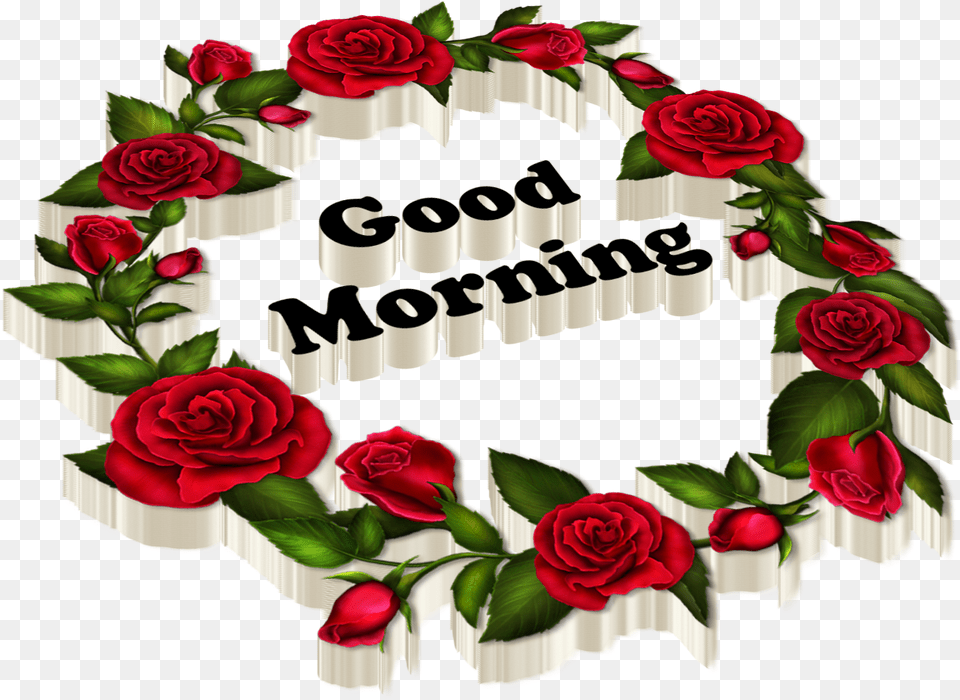 Good Morning All Images Good Morning Good Night, Rose, Plant, Flower, Pattern Free Transparent Png