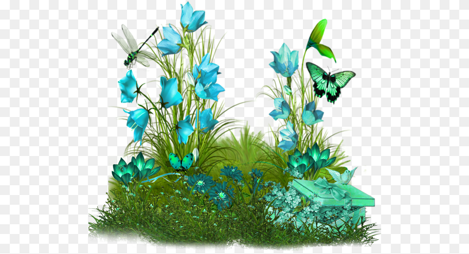 Good Morning Blessed Sunday Cute, Flower, Plant, Green, Aquatic Free Transparent Png