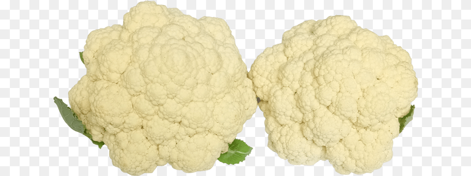 Good Morning Flowers Wishes Message Image 1000 Cauliflower, Food, Plant, Produce, Vegetable Free Transparent Png