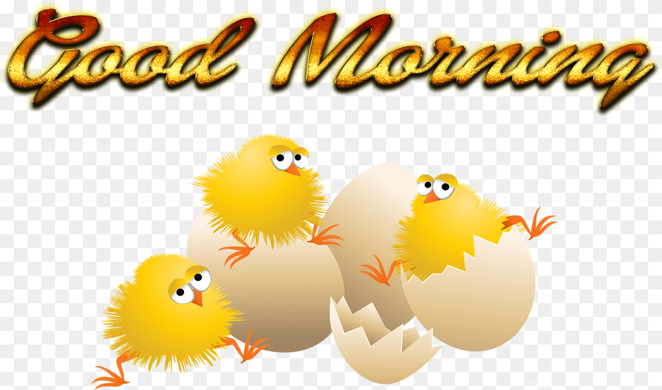 Good Morning Pic Cartoon, Animal, Bird Png
