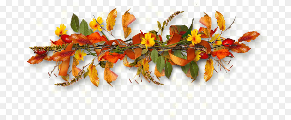 Good Morning To All The Readers Of Golos Petite Fleur D Automne, Flower Arrangement, Leaf, Plant, Flower Png