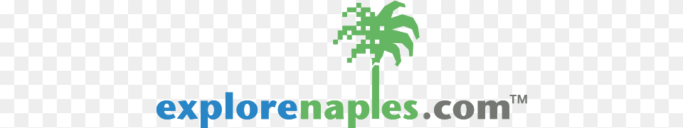 Good Morning Today Is Wed Explore, Plant, Tree, Palm Tree, Vegetation Png Image