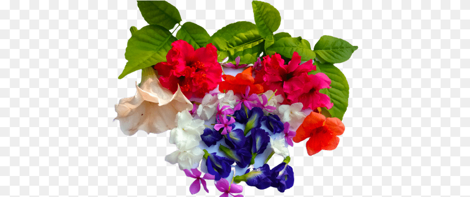 Good Morning Wishes Message Image With Flowers 1000 Bouquet, Flower, Flower Arrangement, Flower Bouquet, Geranium Free Png