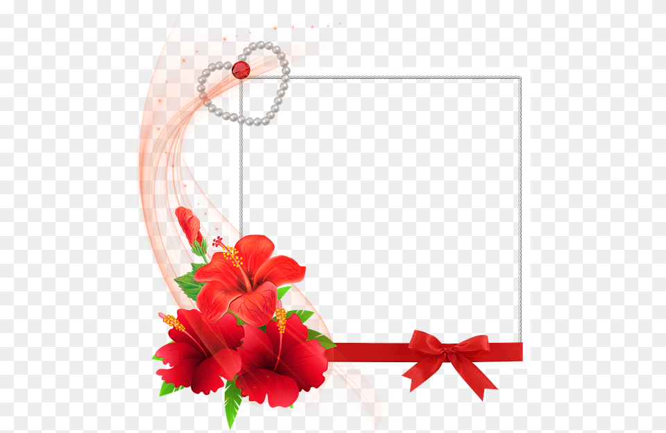 Good Morning With Wednesday, Flower, Plant, Accessories Free Png