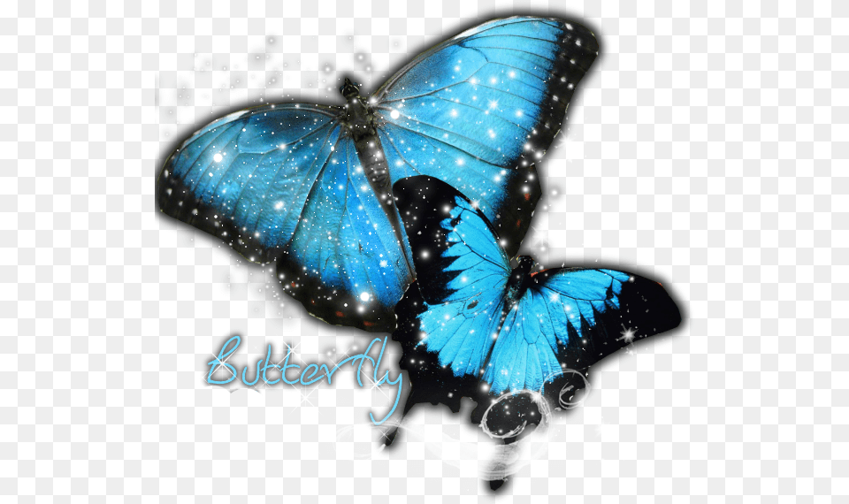 Good Silent Round Wall Clock Frameless Butterfly Stylish Blue Butterfly, Animal, Insect, Invertebrate Free Png Download