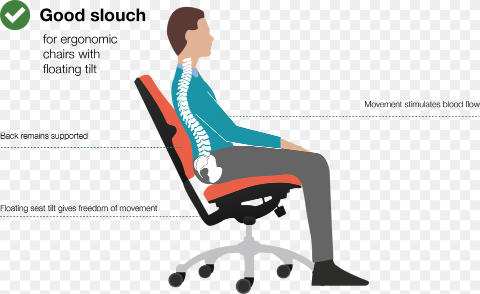 Good Sitting Posture, Person, Adult, Female, Woman Free Png Download