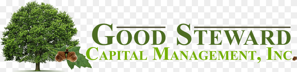 Good Steward Capital Management Inc Graphics, Oak, Green, Vegetation, Tree Png Image