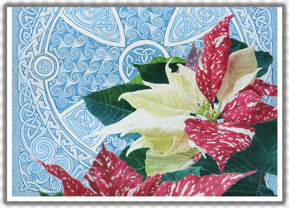 Good Tidings Of Great Joy Poinsettia Christmas Card Anthurium, Plant, Pattern, Leaf, Flower Free Png