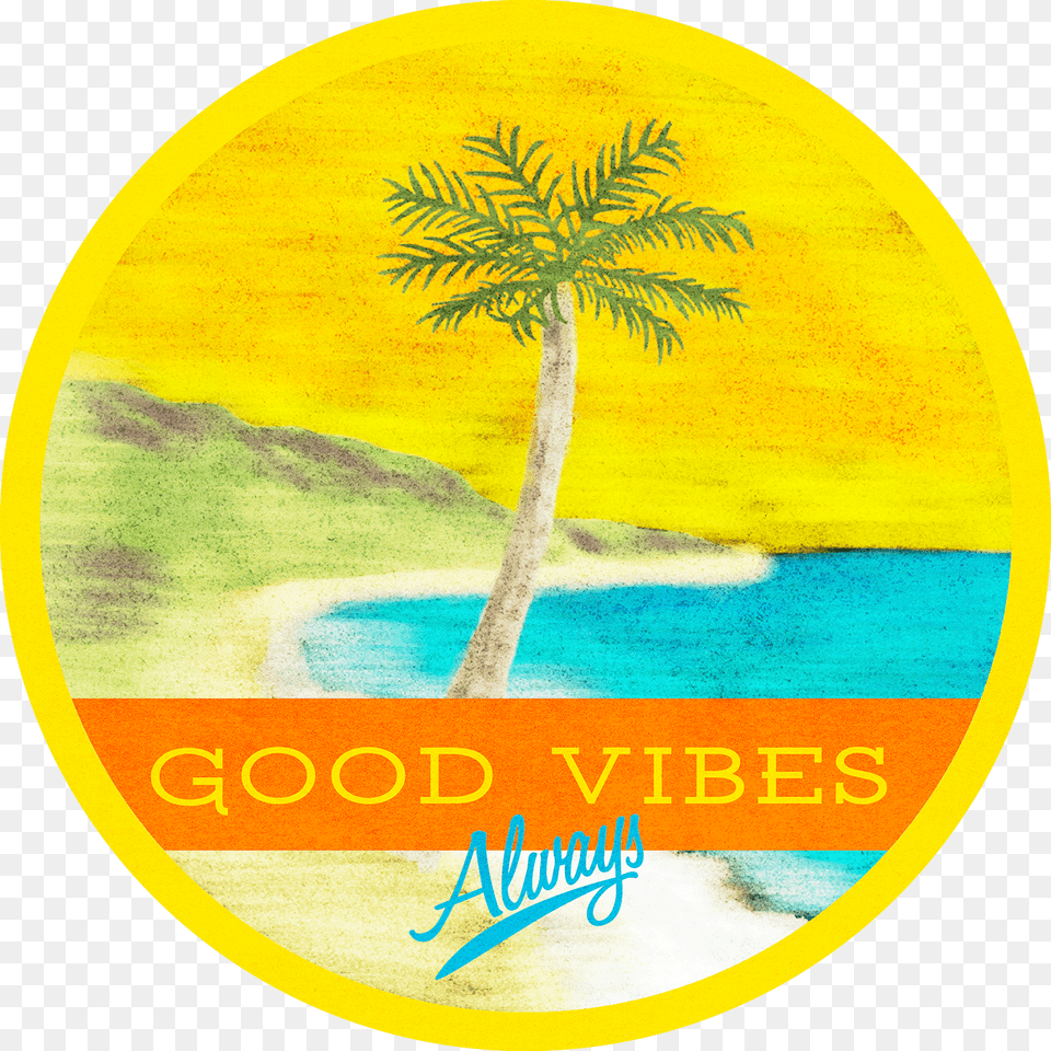 Good Vibes Always Behance, Palm Tree, Plant, Summer, Tree Png Image