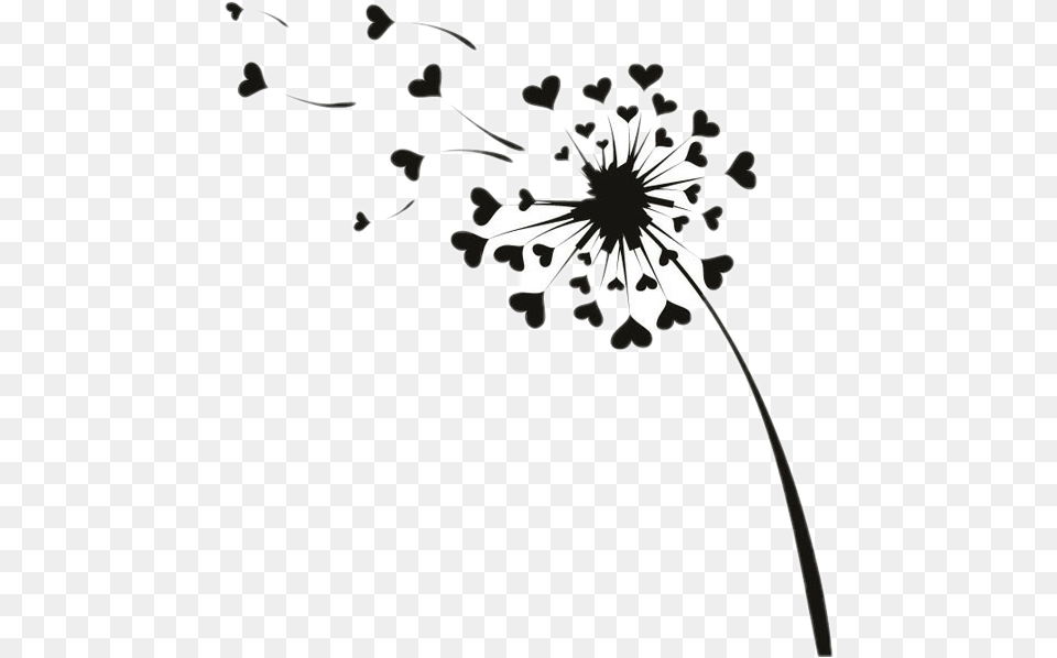 Goodbye 2019 Hello 2020, Anther, Flower, Plant, Daisy Free Png