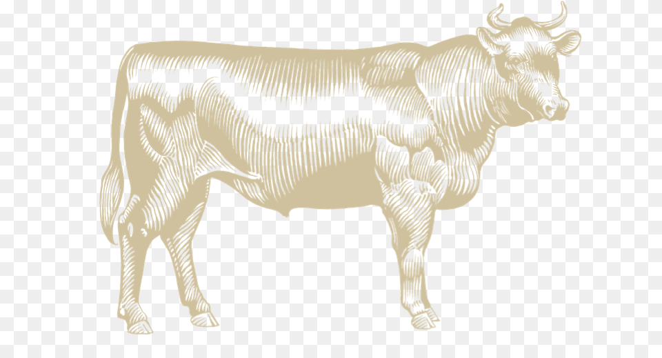 Goode Company Armadillo Palace Animal Figure, Bull, Mammal, Cattle, Livestock Free Png
