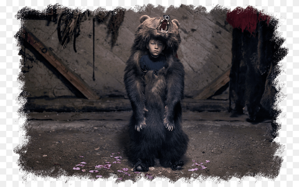 Goodman Theatre Winters Tale, Animal, Bear, Mammal, Wildlife Png Image