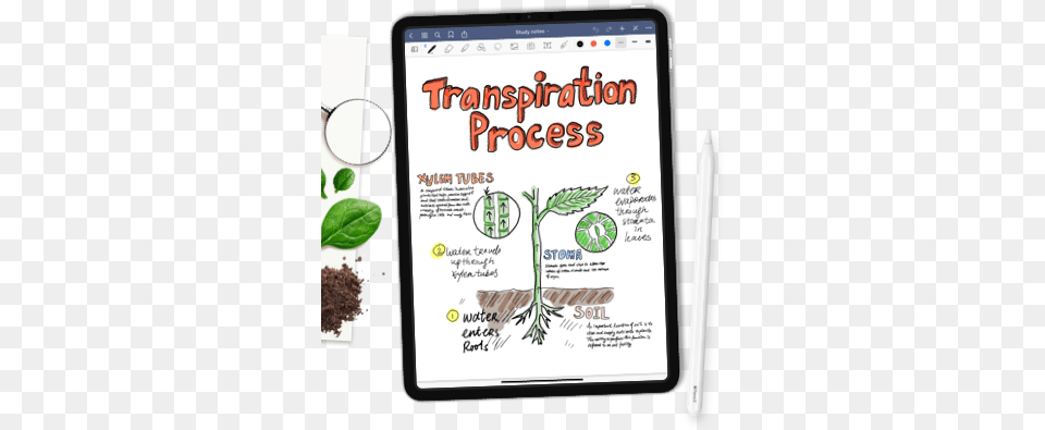 Goodnotes Homepage Notability Ipad Pro Notes, Herbal, Herbs, Plant, Computer Free Transparent Png