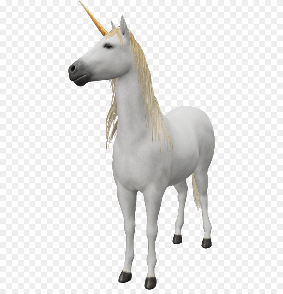 Google 3d Animals U0026 Ar Objects Full List Gallery Unicorn, Animal, Horse, Mammal, Stallion Png