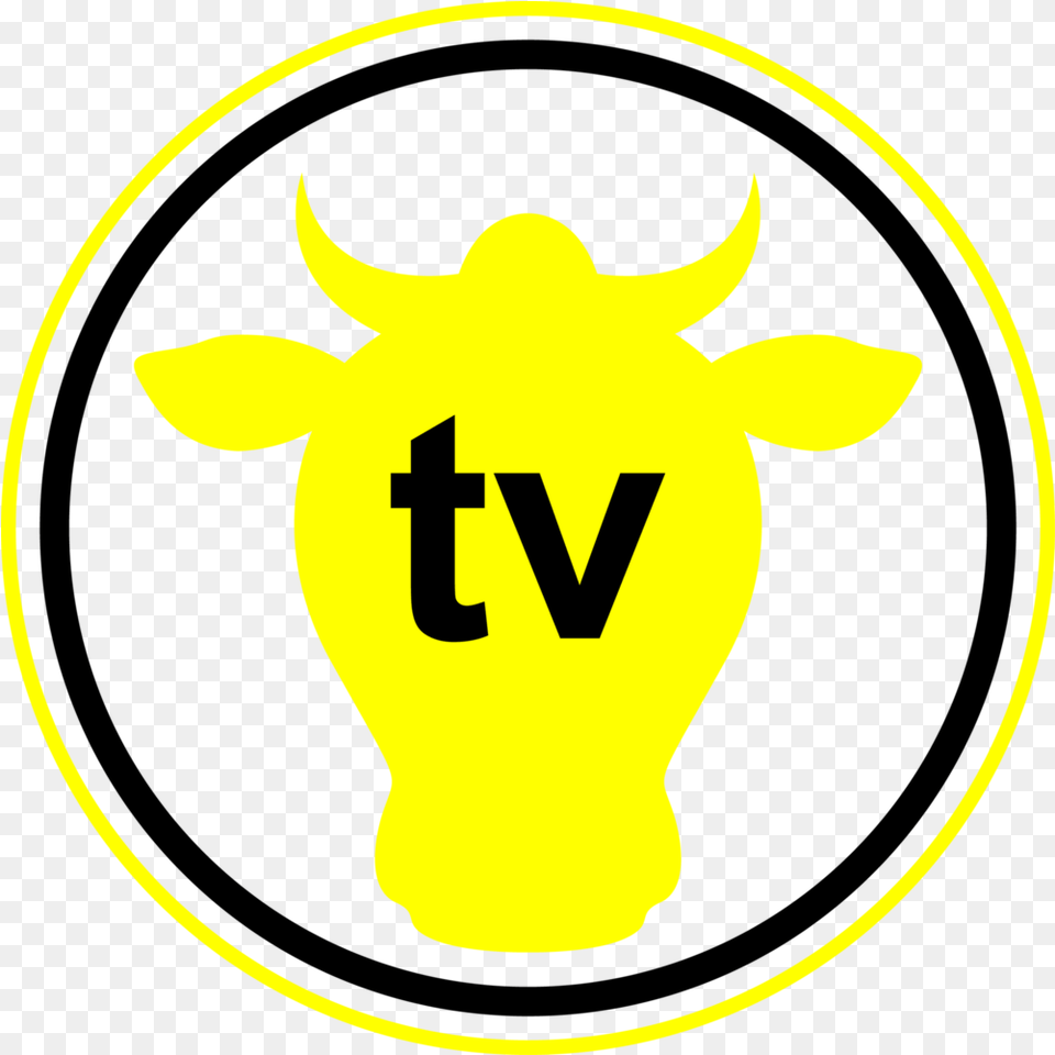 Google Chromecast Tv Channel Tvn Style, Logo, Light Png