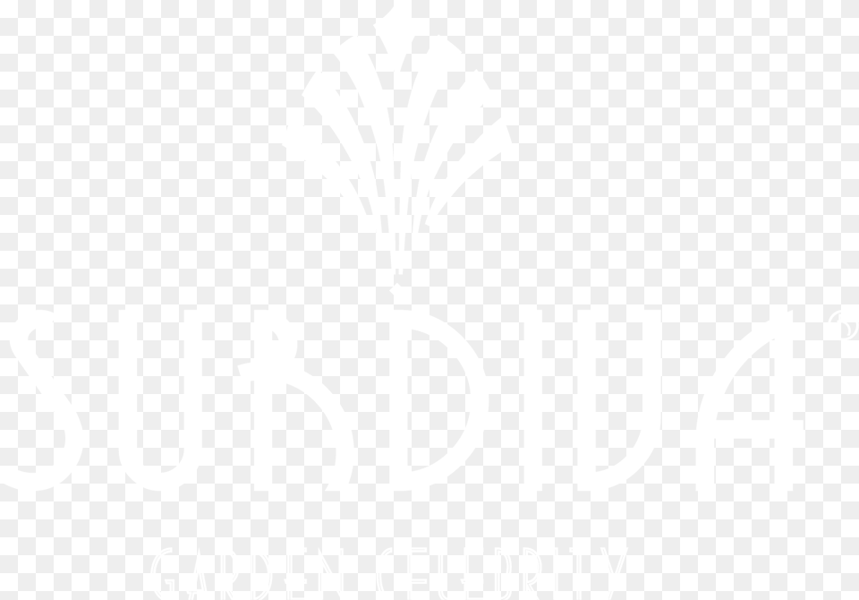 Google Cloud Logo White, Person, Text Free Transparent Png