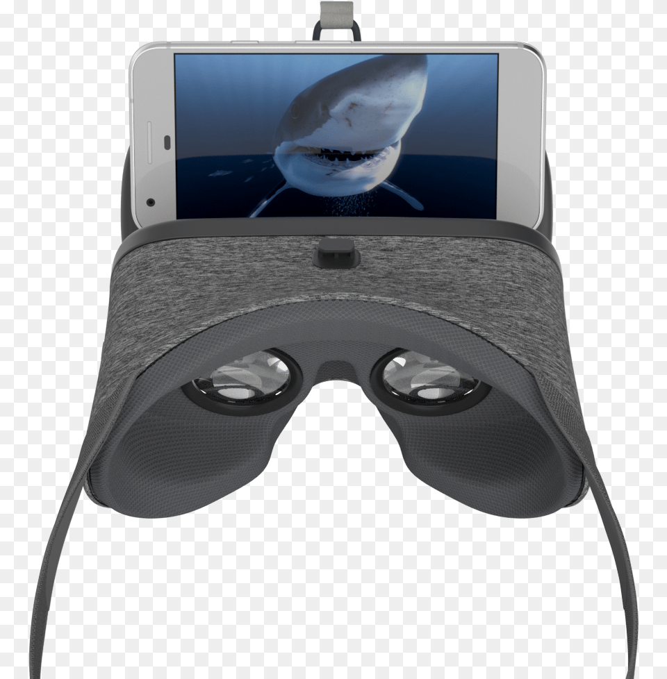 Google Daydream, Animal, Fish, Sea Life, Shark Free Transparent Png