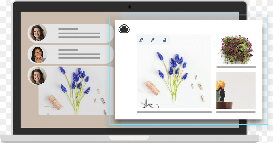 Google Forms English Lavender, Flower, Person, Plant, Face Free Png