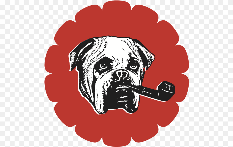 Google Guetzli, Smoke Pipe, Animal, Canine, Dog Free Transparent Png