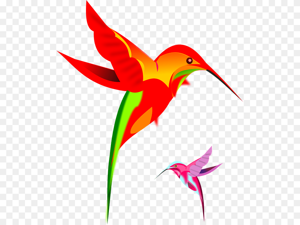 Google Hummingbird, Animal, Bird, Flying, Beak Png