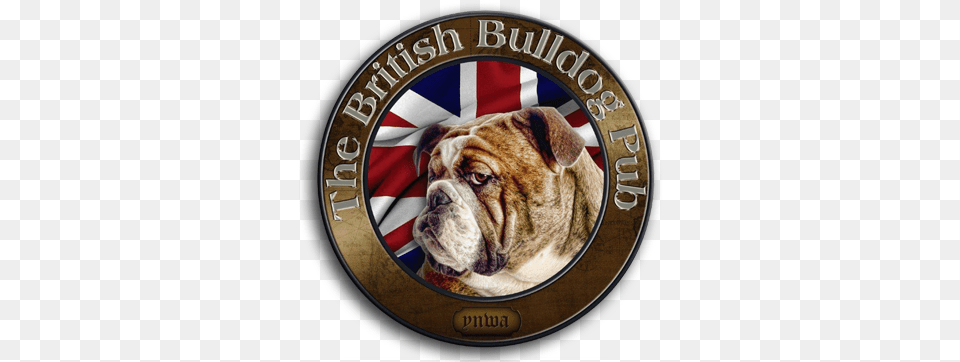 Google Image Result For Http British Bulldog Pub Logo, Animal, Canine, Dog, Mammal Png