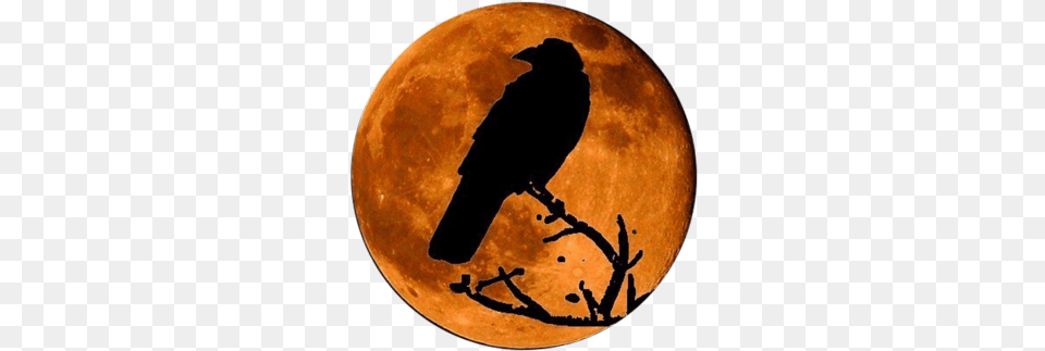 Google Image Result For Httpofficialpsdscomimages Raven In The Moon, Astronomy, Nature, Night, Outdoors Free Transparent Png