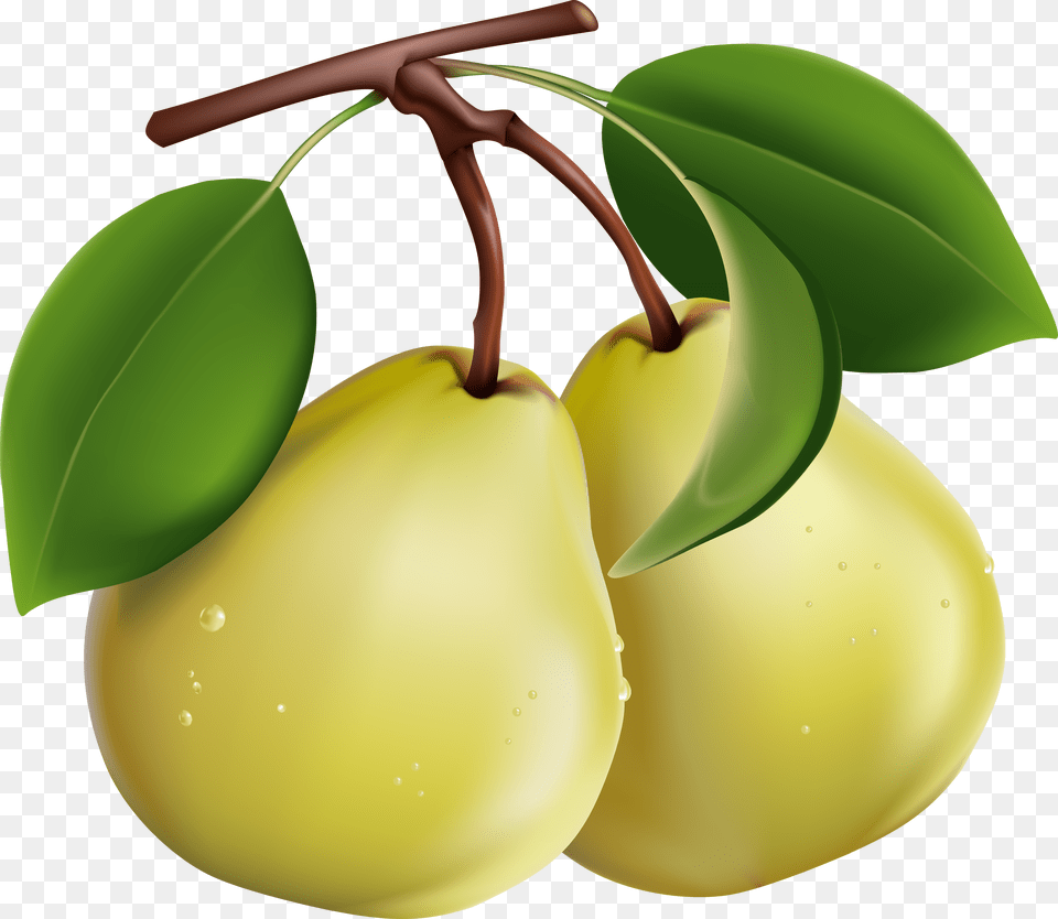 Google Search, Food, Fruit, Plant, Produce Free Png