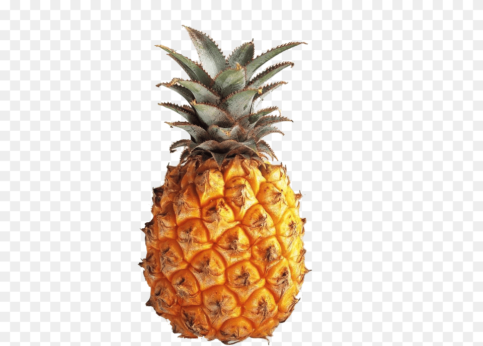 Google Search Fruit Pineapple Food, Plant, Produce Free Transparent Png
