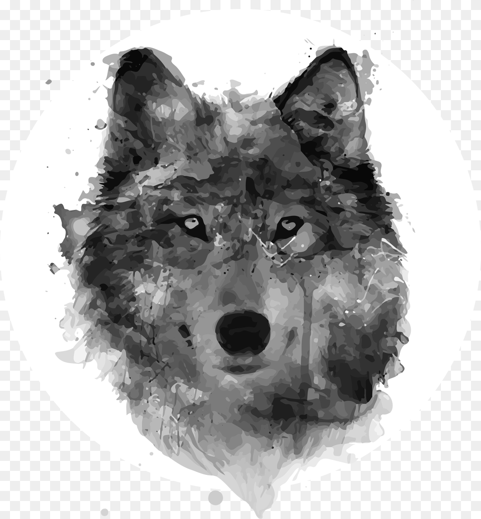 Google Search Watercolor Wolf Watercolor Paintings Wolf Painting, Animal, Mammal Free Png