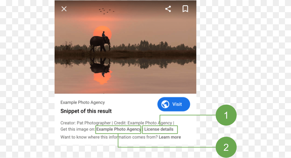 Google To Highlight Licensing Information In Google Licensing Information, Animal, Elephant, Mammal, Wildlife Png