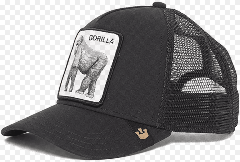Goorin Bros Gorilla Hat, Baseball Cap, Cap, Clothing, Helmet Free Png Download