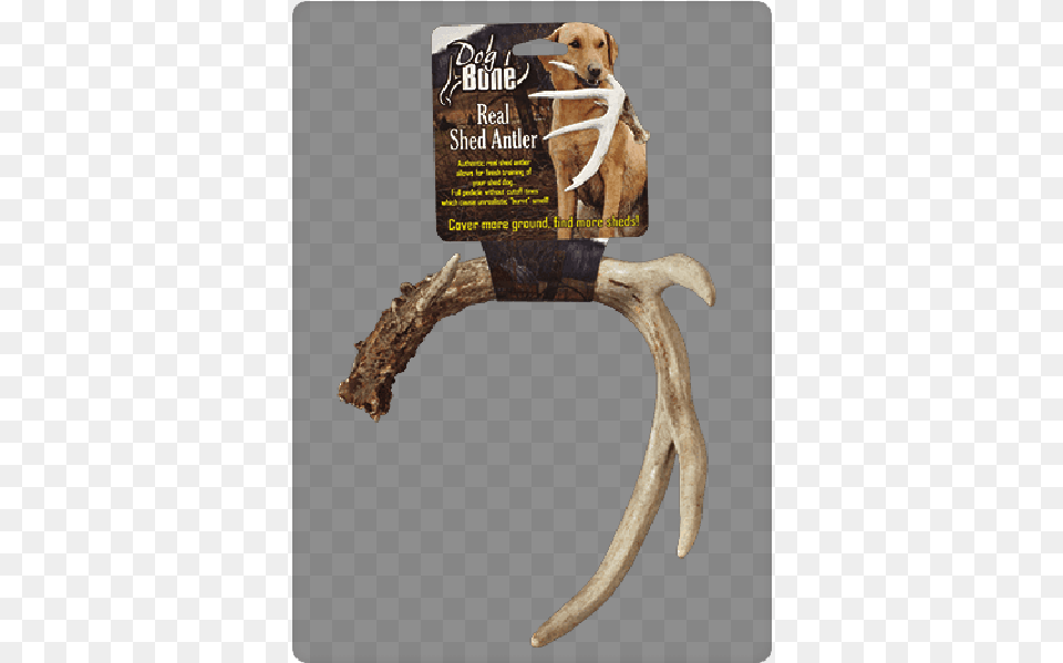 Goose, Antler, Animal, Canine, Dog Png