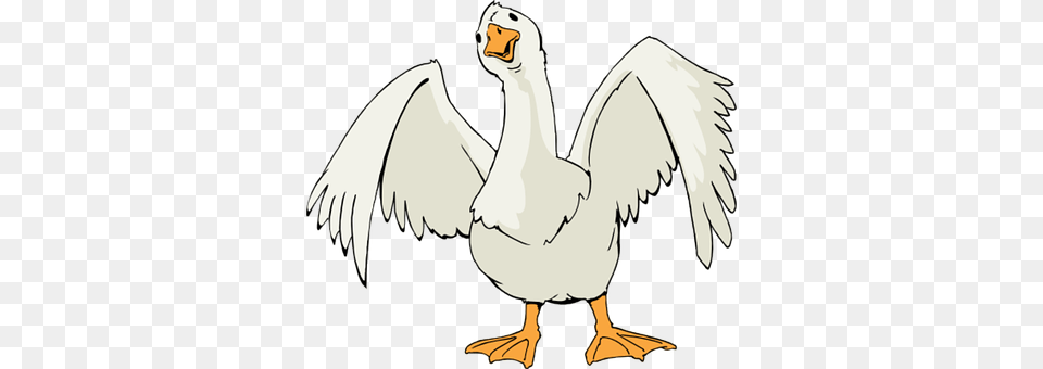 Goose Animal, Bird, Waterfowl, Person Free Png