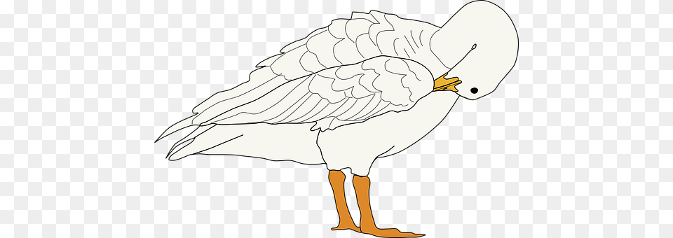 Goose Animal, Bird, Waterfowl, Fish Png Image