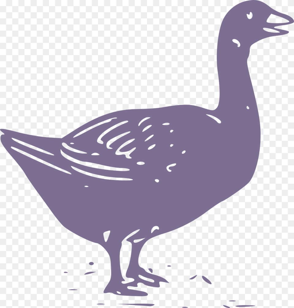 Goose, Animal, Bird, Waterfowl Free Transparent Png