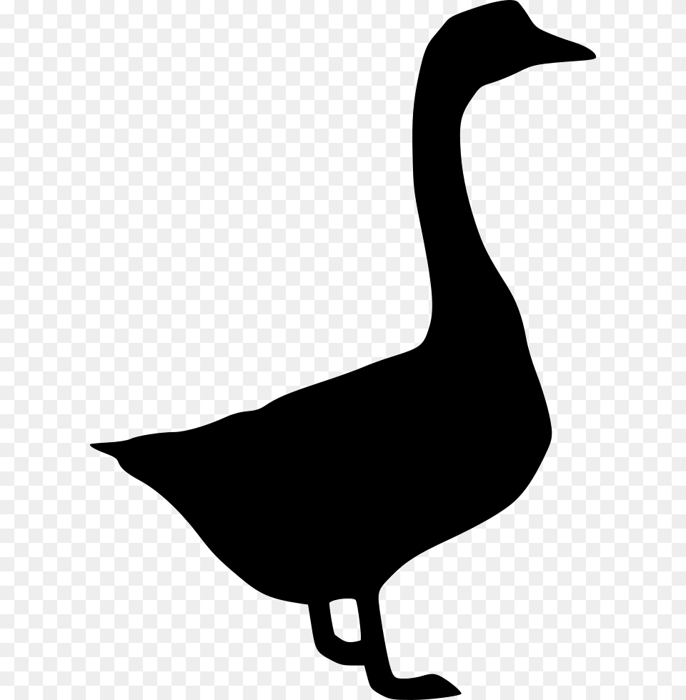 Goose, Animal, Bird, Waterfowl, Silhouette Png