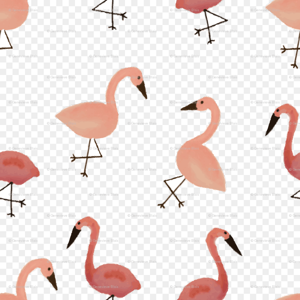 Goose, Animal, Bird, Flamingo Png Image