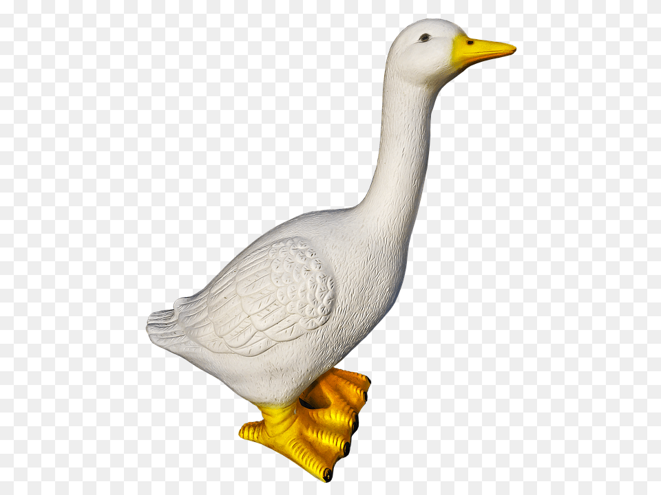Goose Animal, Beak, Bird, Anseriformes Free Png Download