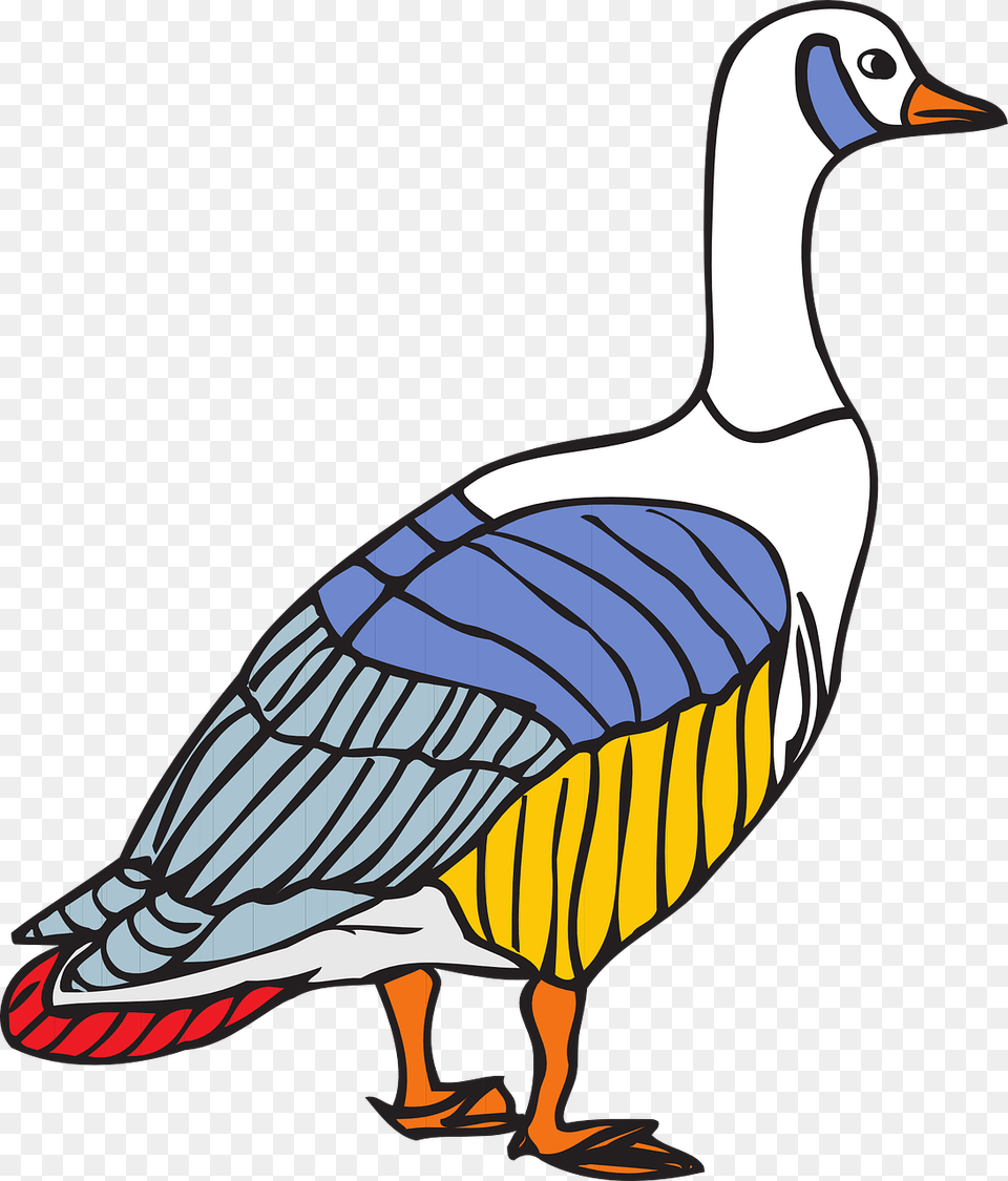 Goose, Animal, Bird, Waterfowl, Anseriformes Free Transparent Png
