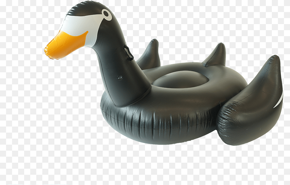 Goose, Inflatable, Animal, Bird Png Image