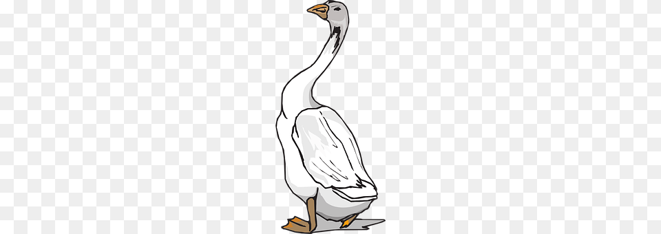 Goose Animal, Bird, Waterfowl, Fish Free Png