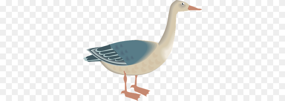 Goose Animal, Bird, Waterfowl, Anseriformes Free Transparent Png